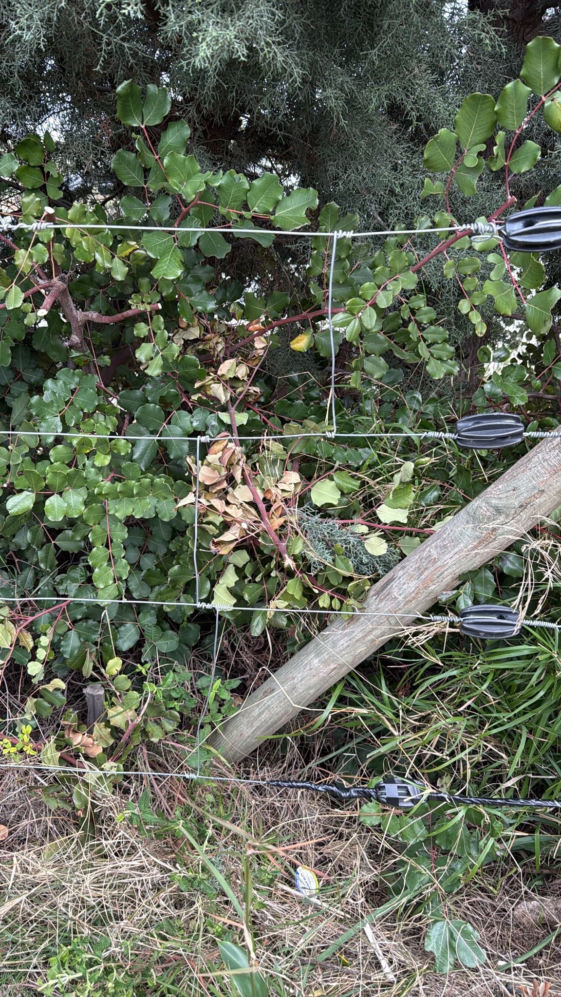 er-agtelektrik-0 (15) er-agtelektrik-0 (15)