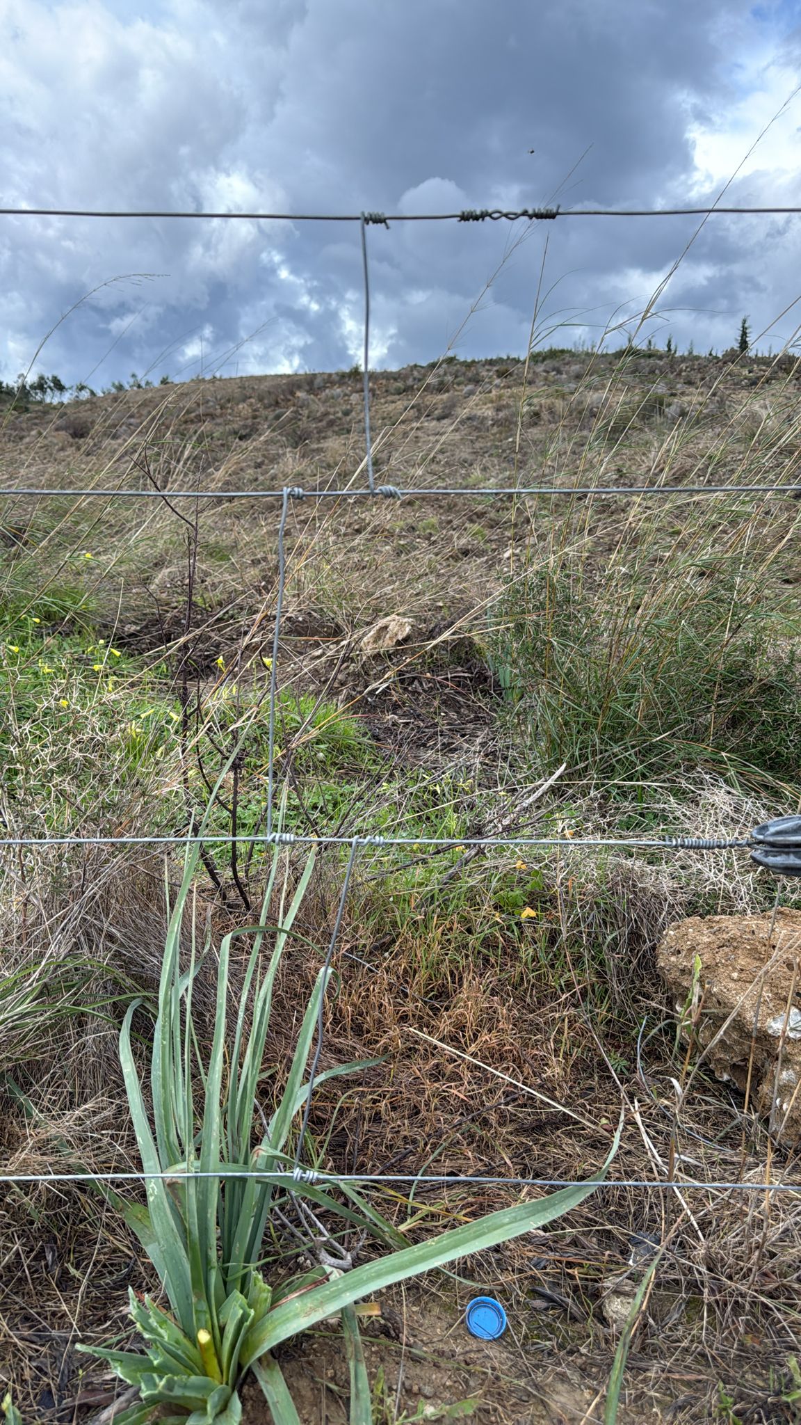 er-agtelektrik-0 (5) er-agtelektrik-0 (5)