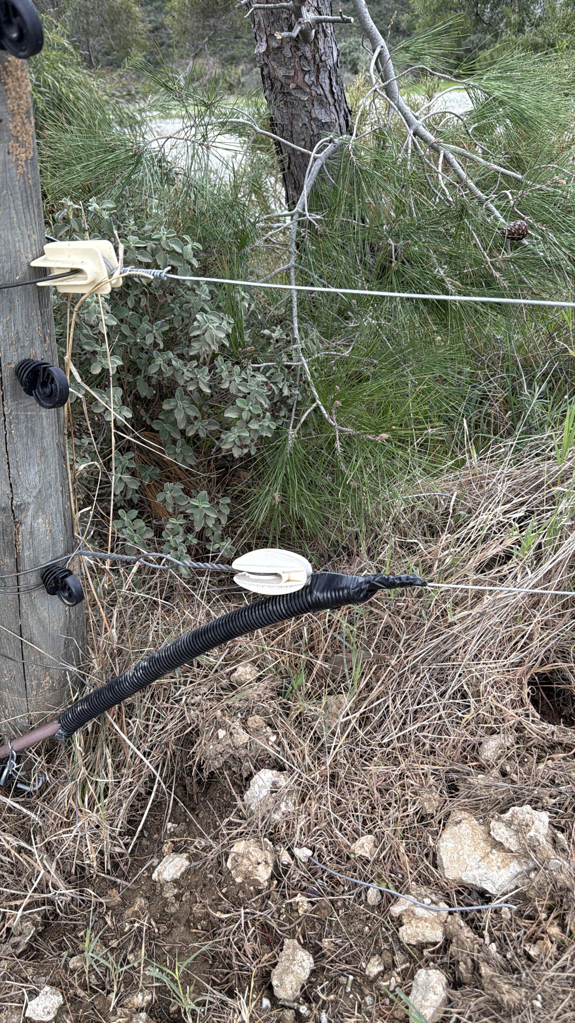 er-agtelektrik-0 (8) er-agtelektrik-0 (8)