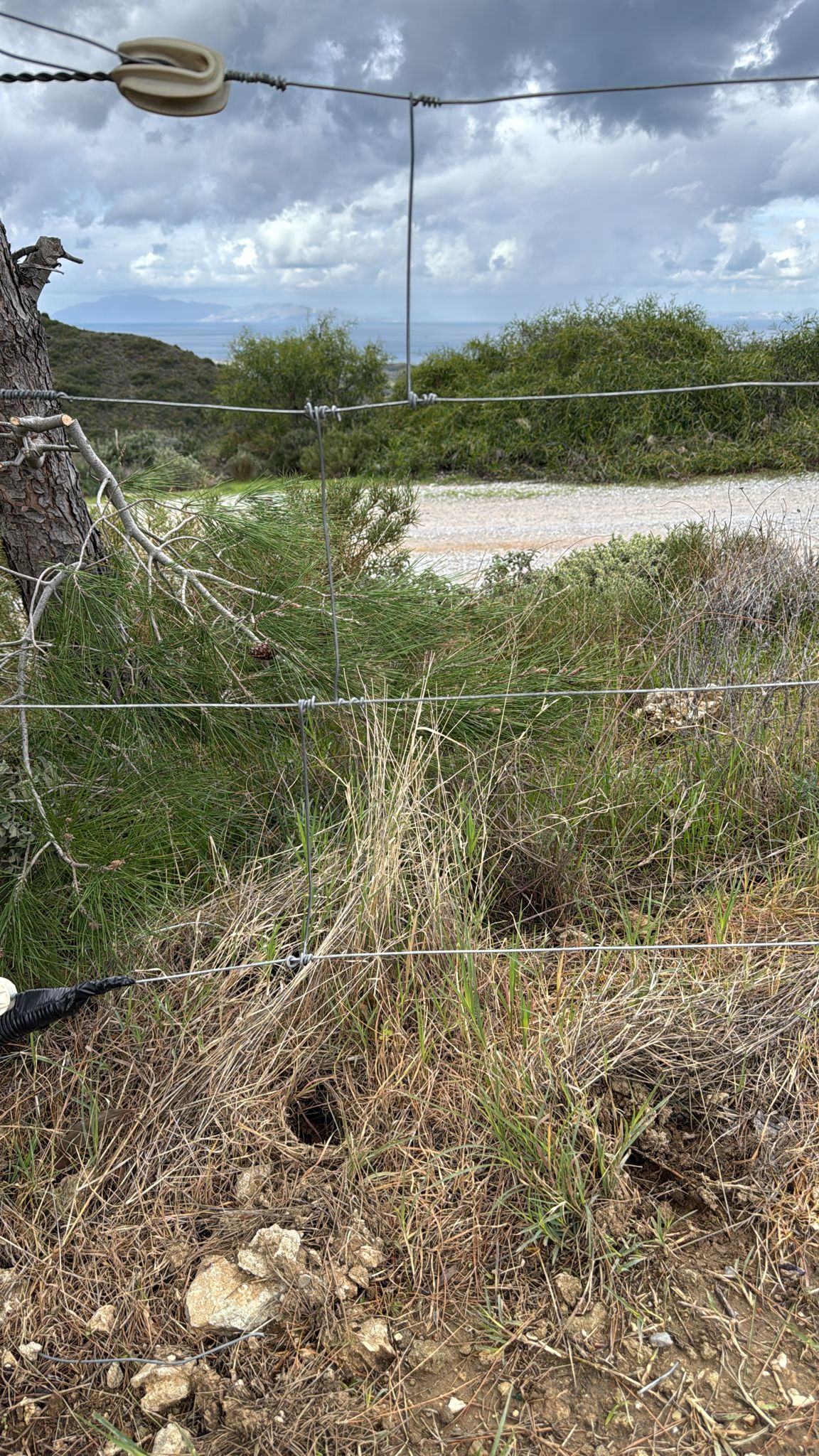 er-agtelektrik-0 (9) er-agtelektrik-0 (9)